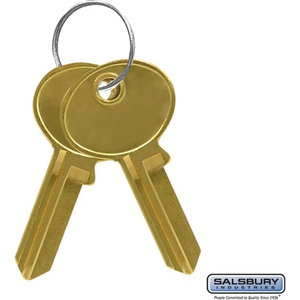 Key Blanks - for Standard Locks of Cell Phone Storage Lockers - Box of (50) by Salsbury