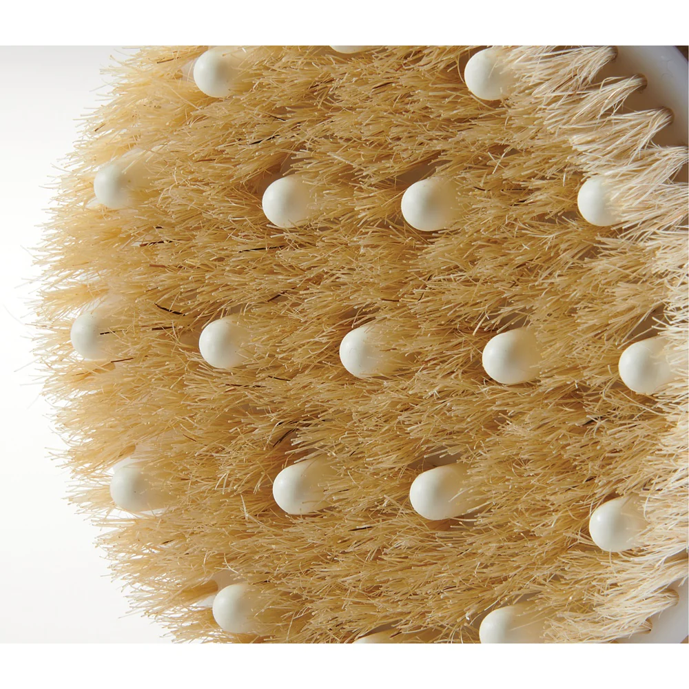 Natural Bristle Body Massage Brush with Massage Beads by Fantasea - Image 2