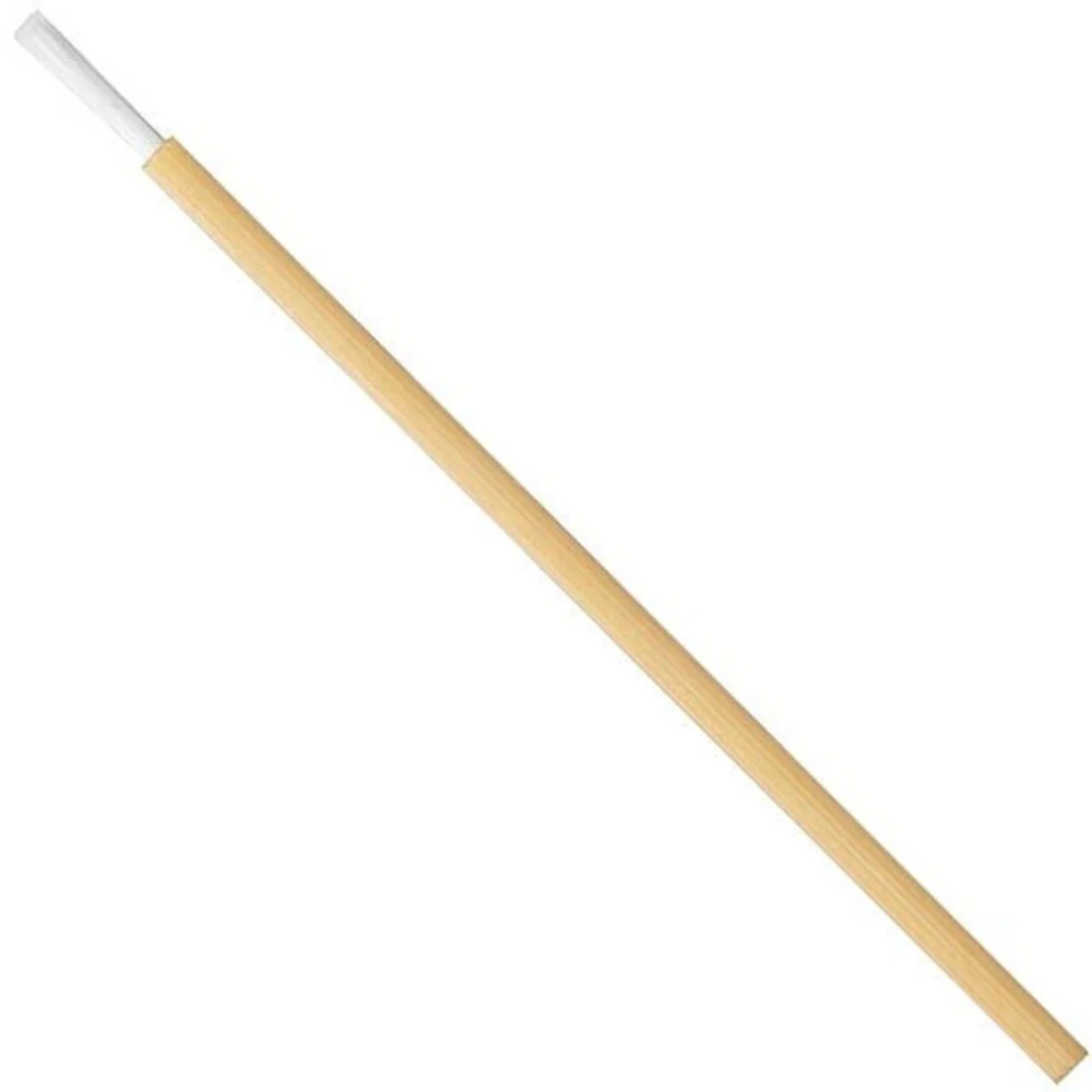 Single-Use Professional Lip Brush with FSC® Certified Thin Bamboo Handle - 2.83" Long / 50 Pieces Per Bag X 24 Bags = Case of 1,200