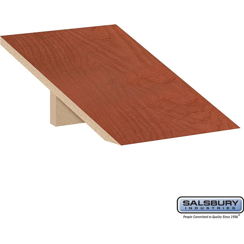 Sloping Hood - for 15 Inch Deep Designer Locker - 1 Wide by Salsbury - Image 5