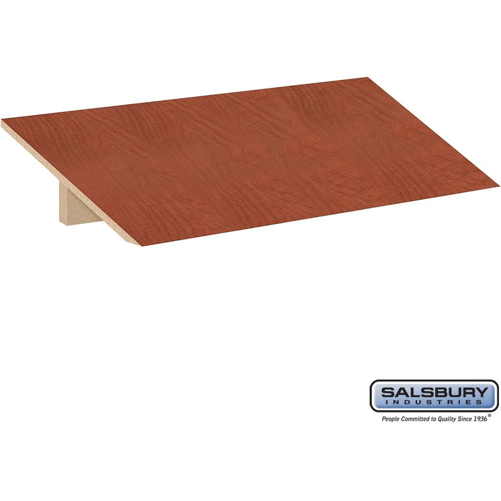 Sloping Hood - for 15 Inch Deep Designer Locker - 3 Wide by Salsbury - Image 5