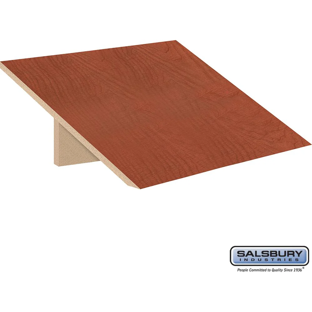 Sloping Hood - for Open Access Designer Locker and Designer Gear Locker - 24" Deep by Salsbury - Image 5