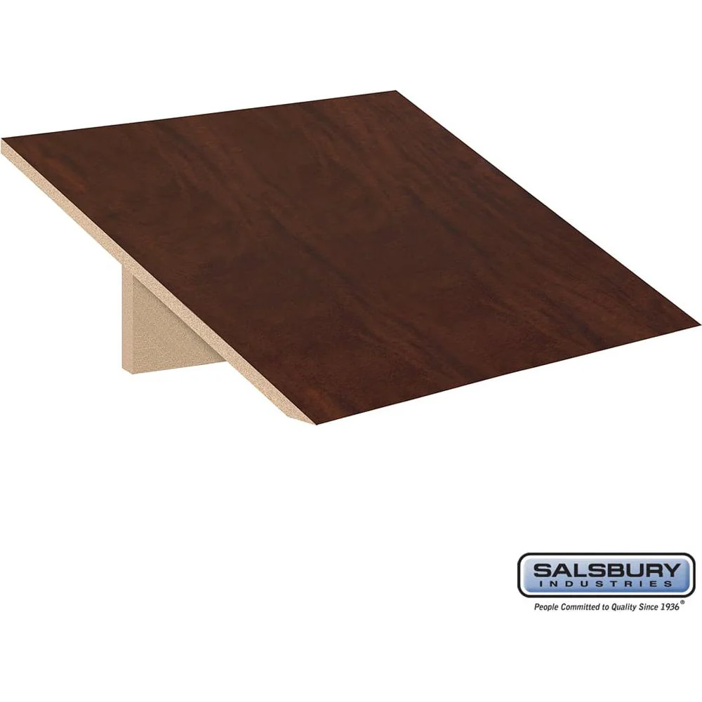 Sloping Hood - for Open Access Designer Locker and Designer Gear Locker - 24" Deep by Salsbury - Image 7