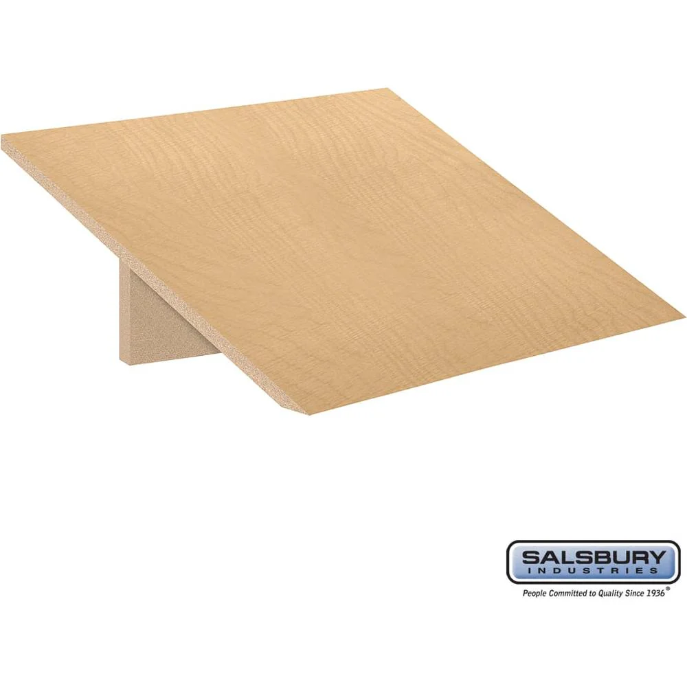 Sloping Hood - for Open Access Designer Locker and Designer Gear Locker - 24" Deep by Salsbury - Image 8
