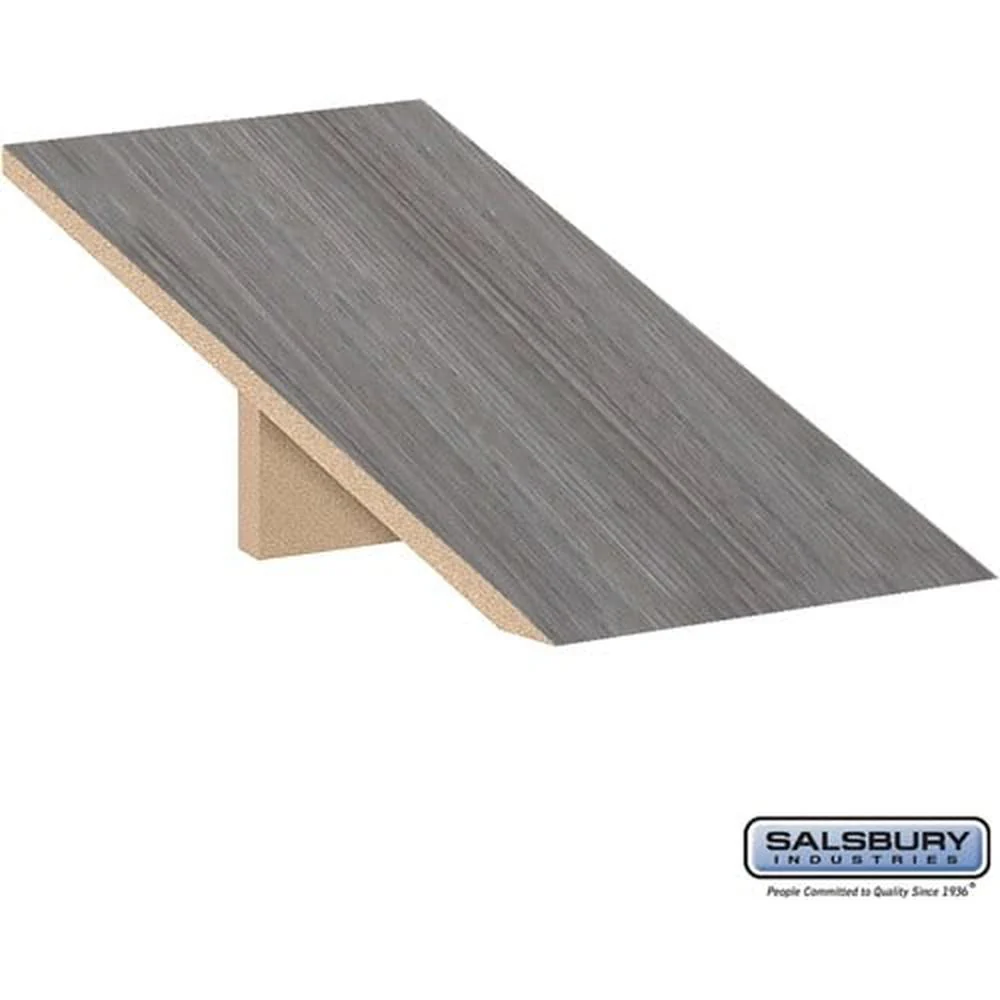 Sloping Hood - for Premier Open Access & Gear Locker - 24" Deep by Salsbury - Image 5