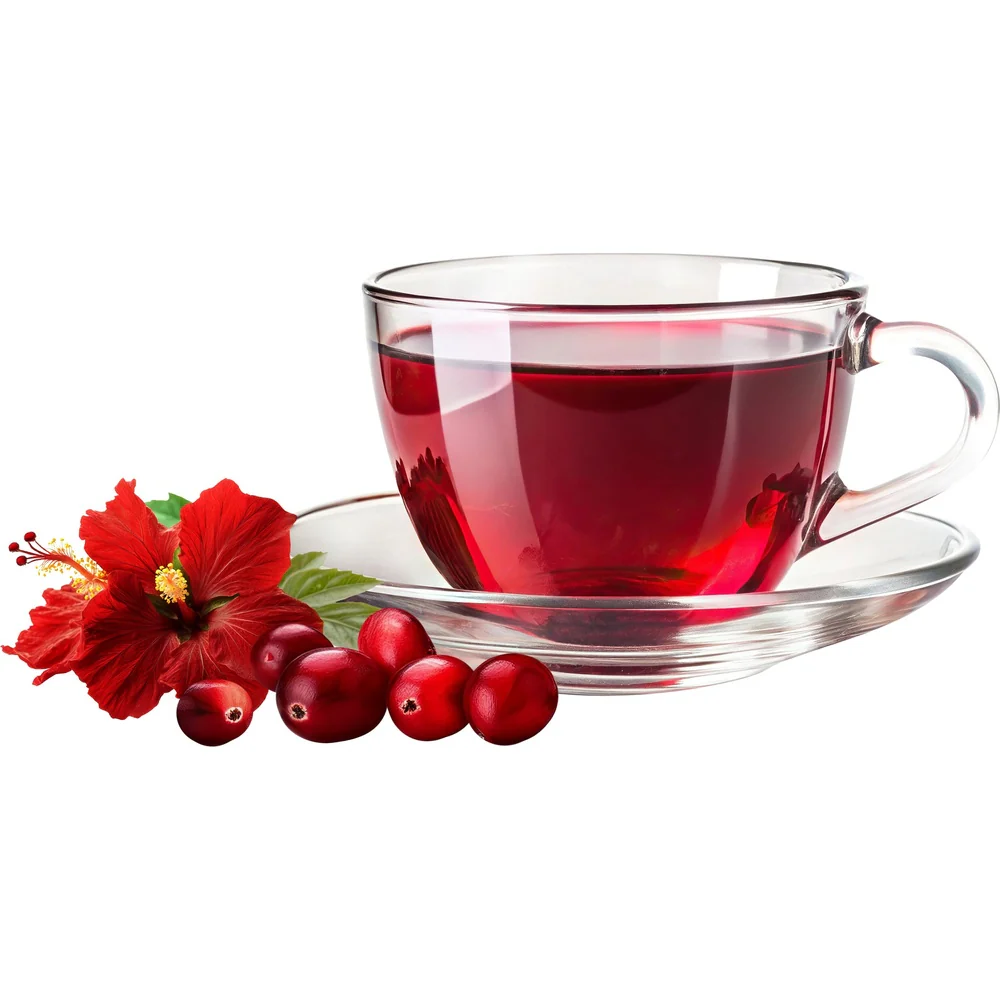 Spa Moments - Organic Herbal Tea - Cranberry Hibiscus / 100 Count - Image 11